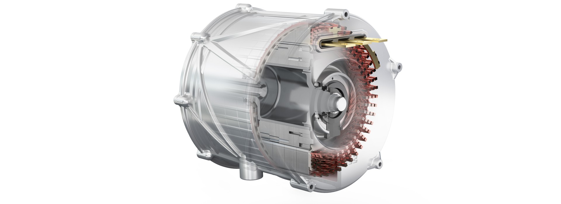 Electric Endurance Champion